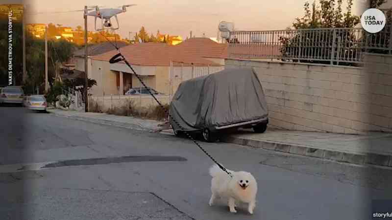 Homem usa drone para levar cão para passear durante quarentena; assista