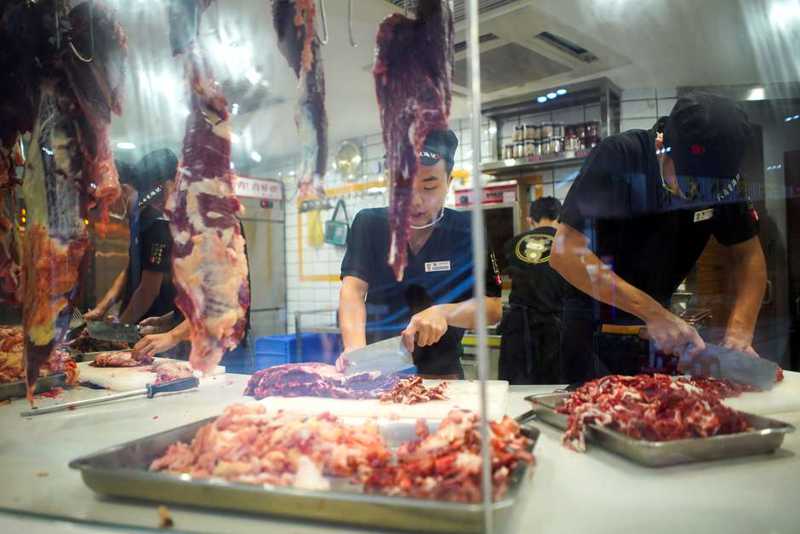Cidade chinesa de Shenzhen proíbe comer cães e gatos após coronavírus