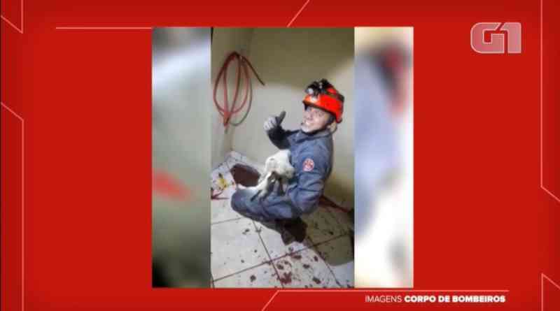 Cachorro fica preso dentro de cano e mobiliza Corpo de Bombeiros em Presidente Prudente, SP; VÍDEO