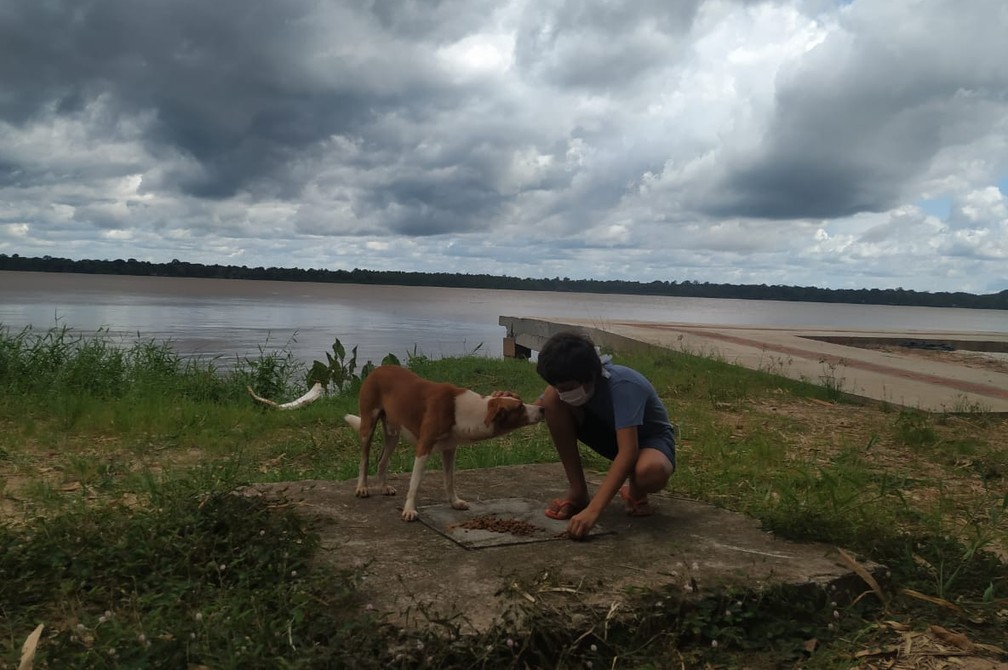 Menino aproveita tempo livre para ajudar cães durante o isolamento em Belém, PA