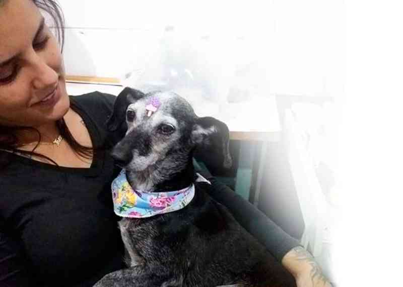 Cachorrinha idosa do Canil Municipal de Esteio (RS) é adotada