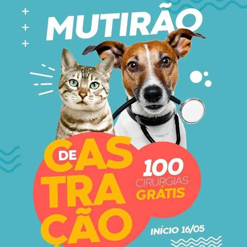 ONG Animais Amigos doa 100 castrações gratuitas para comunidade carente de Estância, SE