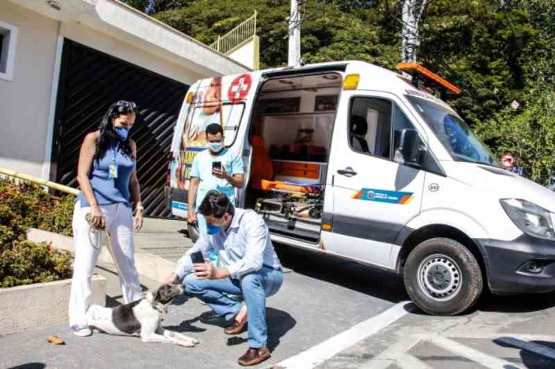 Ambulância veterinária atenderá animais vítimas de maus-tratos em Santana de Parnaíba, SP