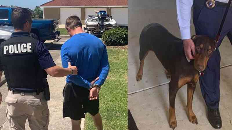 Homem é flagrado enforcando cachorro de ex-namorada e vai preso