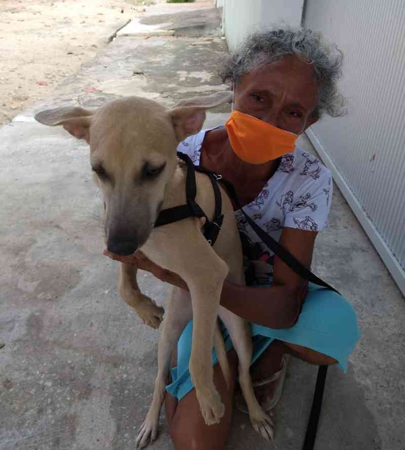 Sem renda e com risco de morar na rua, faxineira busca abrigo para seus cães e gatos em Teresina, PI