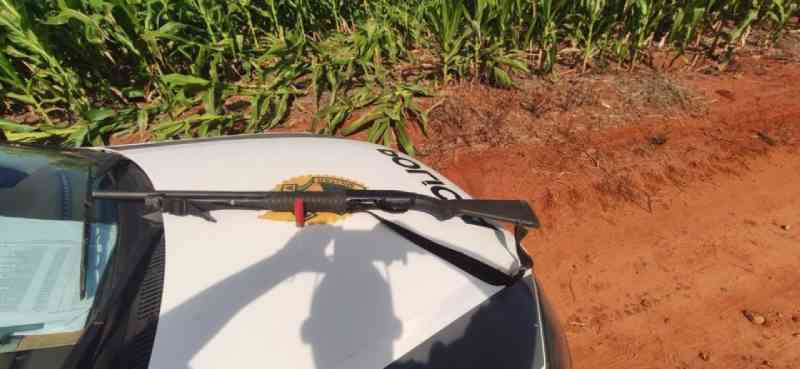 Grupo de Curitiba (PR) sai para caçar javalis e um dos integrantes morre após ser confundido com animal