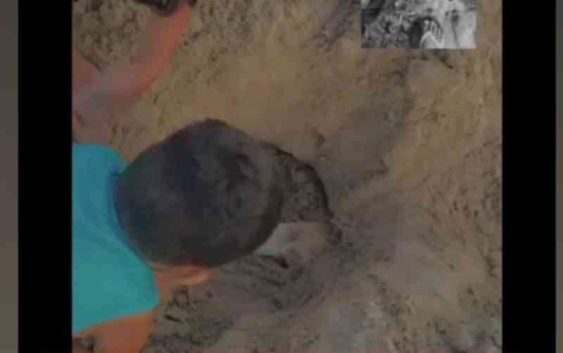 Crueldade: cachorro é enterrado vivo no sertão sergipano