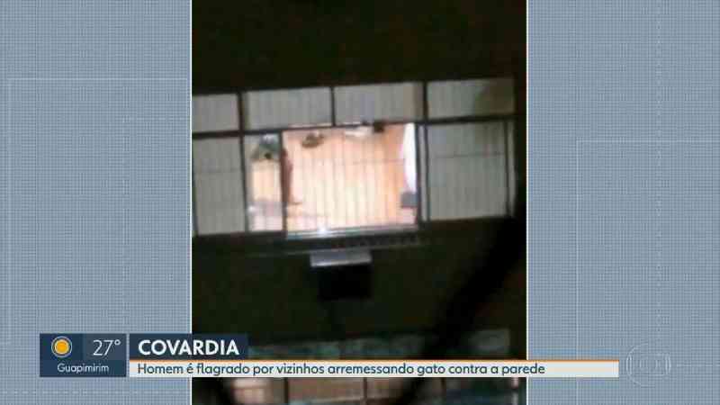 Homem filmado arremessando gato na parede é autuado por maus-tratos a animais, no Rio