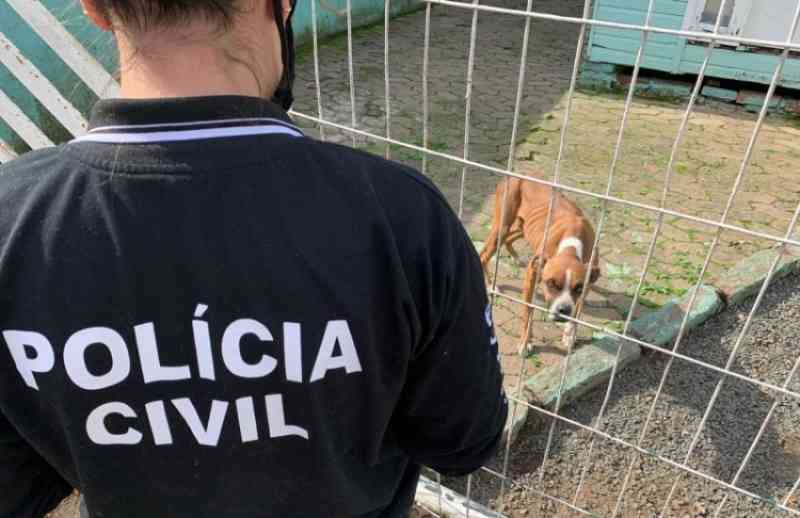 Operação Arca autua casal por maus-tratos contra animais no Bairro Mato Grande, em Canoas, RS