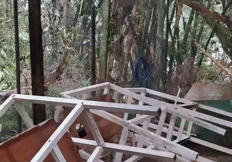 Ciclone em SC destrói recintos e mata espécimes em Centro de Triagem de Animais Silvestres