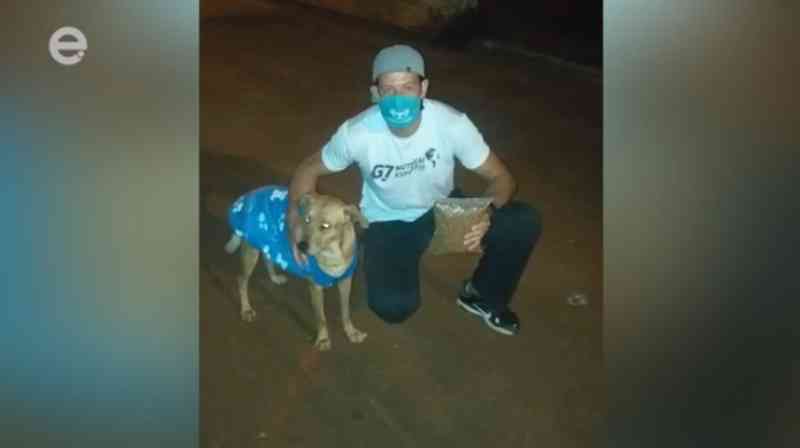Cachorros de rua recebem ração e roupinhas em Limeira, SP