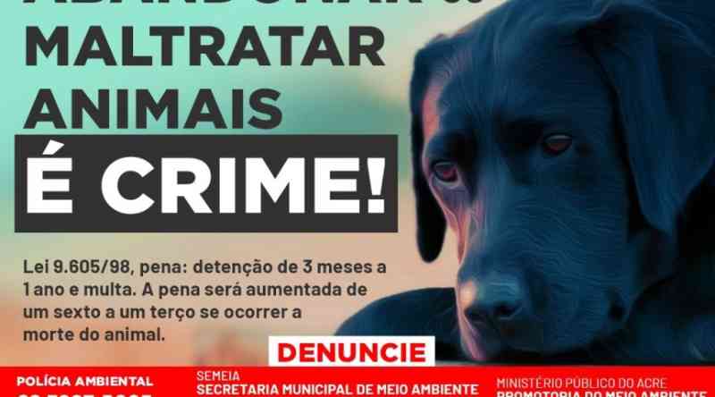 OAB/AC inicia campanha contra abandono de animais durante a pandemia