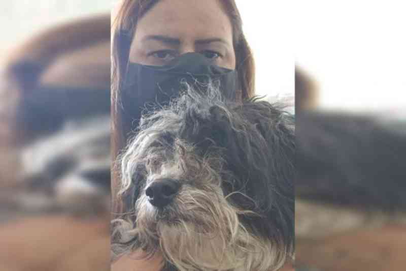 Vídeo: cachorrinha vítima de maus-tratos é resgatada de casa no DF