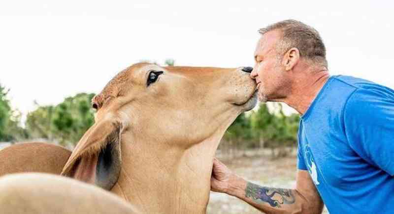 Homem abre santuário e salva animais maltratados ​​em fazenda