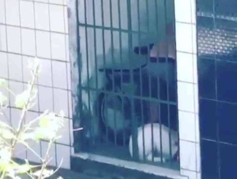 Homem é preso acusado de maltratar cadela no bairro 13 de Julho, em Aracaju, SE