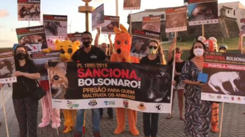 Entidades da proteção animal da Bahia realizam ato público na Bahia para pressionar Bolsonaro