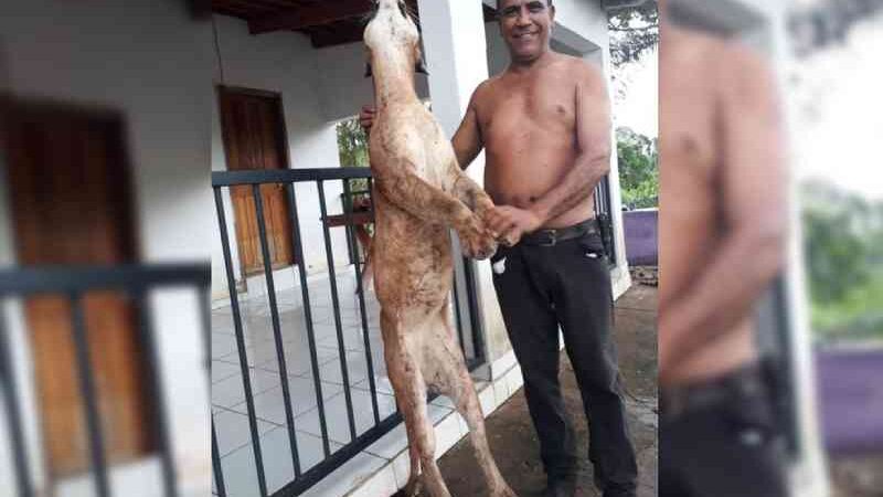 Operação contra caça de animais silvestres mira ex-prefeito que posou em foto ao lado de onça morta, em Goiás