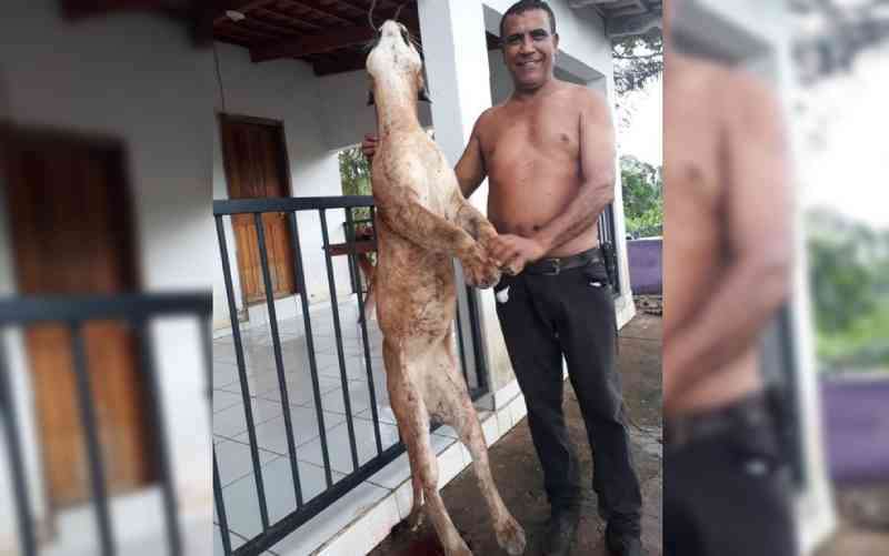 Operação contra caça de animais silvestres mira ex-prefeito que posou em foto ao lado de onça morta, em Goiás
