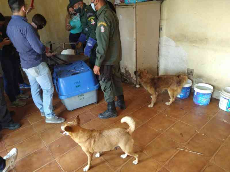 Operação conjunta resgata animais em casa em Niterói, RJ