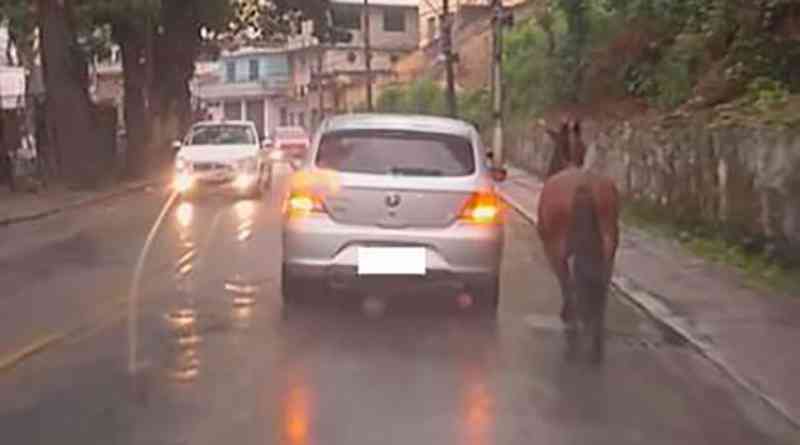 Cavalo amarrado com corda é puxado por carro no Retiro, em Petrópolis, RJ