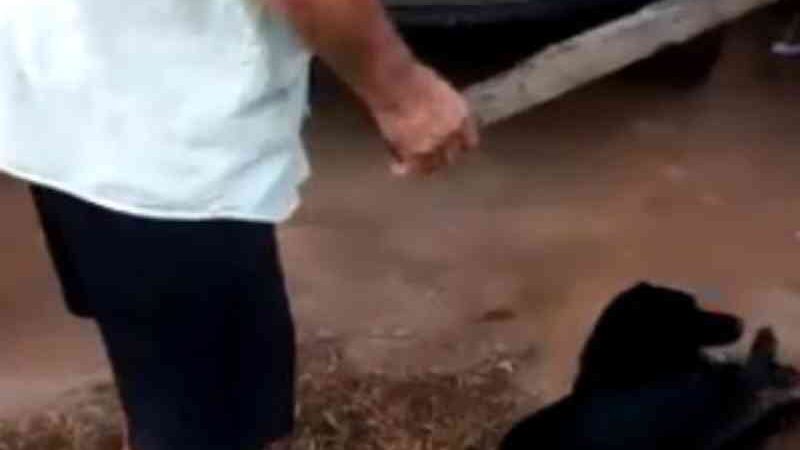 Homem é preso após agredir cachorro a pauladas no bairro de Bebedouro, em Maceió, AL