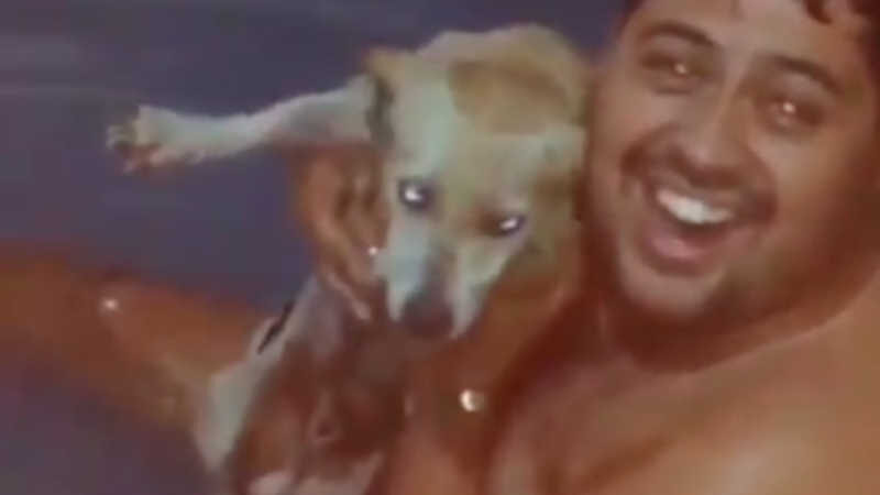 Candidato em Crixás (GO) ‘brinca’ de afogar cachorro em piscina de plástico; vídeo