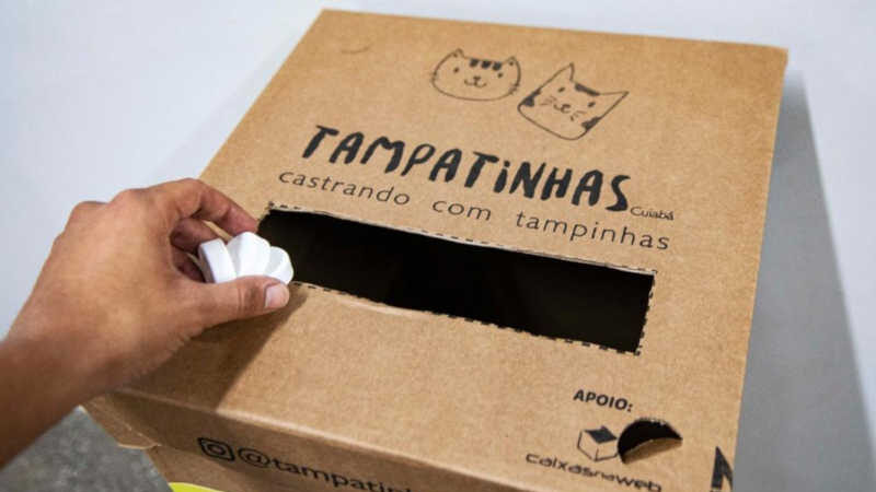 Projeto recolhe tampinhas plásticas para vender e custear castrações de animais de rua na Grande Cuiabá, no MT