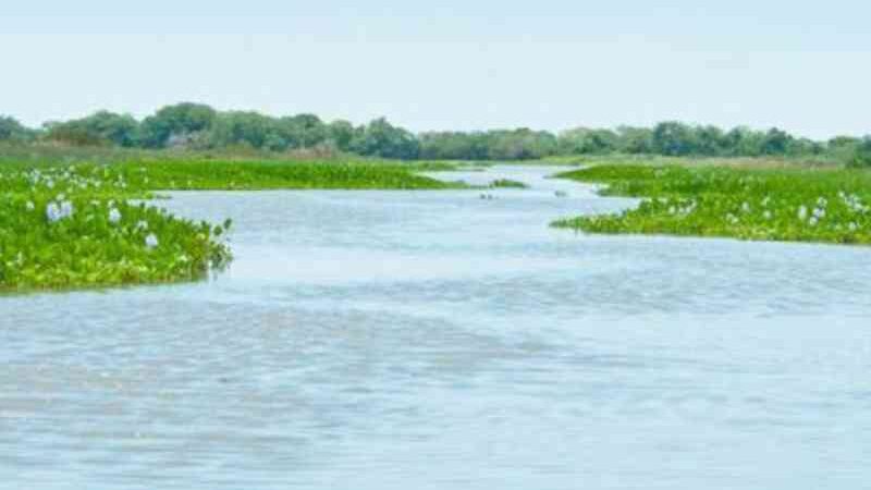 Fogo sem controle no Pantanal ameaça reserva refúgio de animais em MT