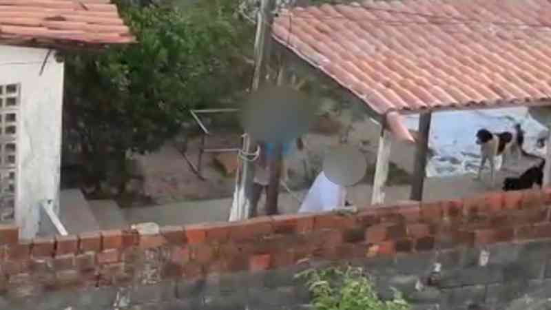 Animais são alvo de maus-tratos com cabo de vassoura e toalha em Olinda, PE; veja vídeo