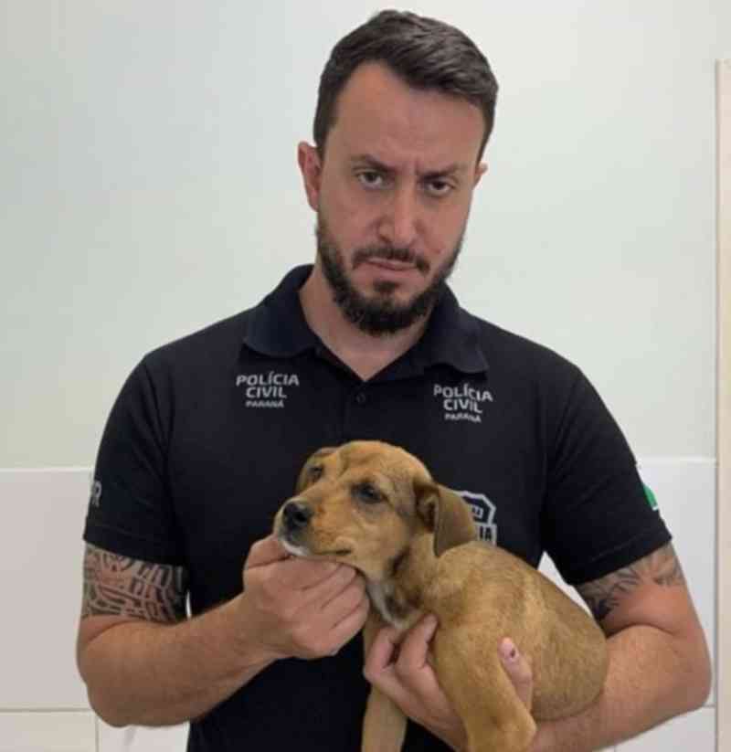 Polícia encontra filhote de cachorro com vidro no ânus, em Campo Largo, PR