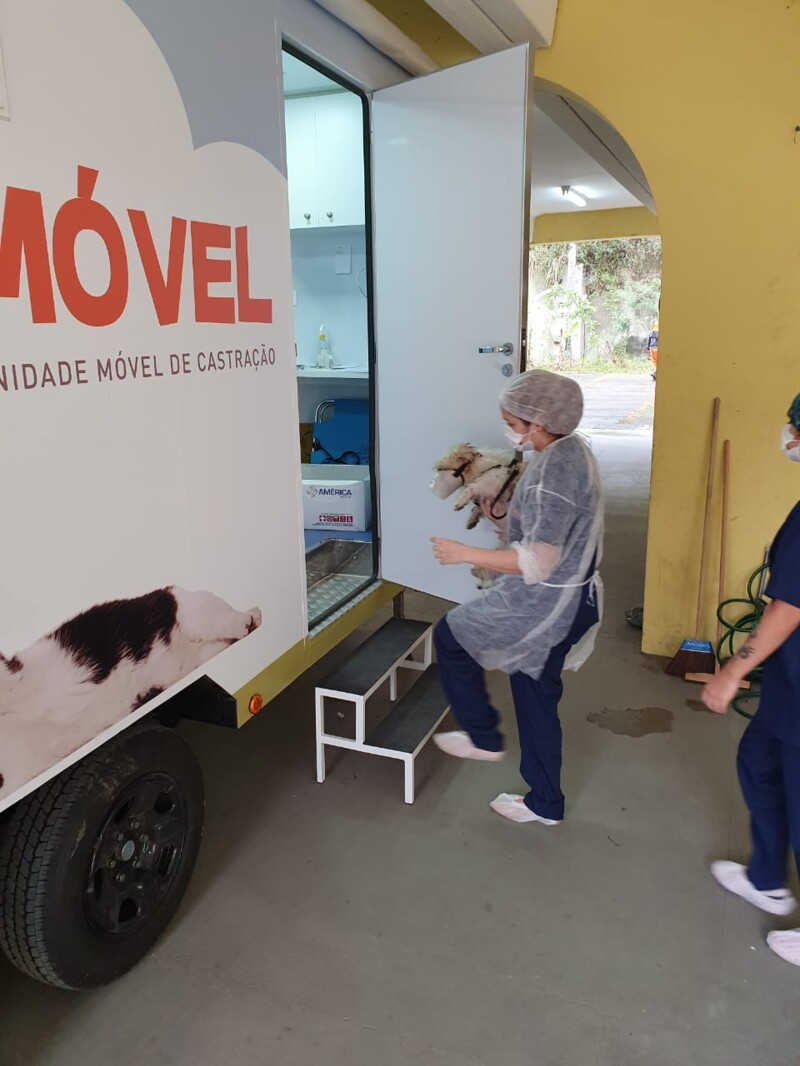 Castramóvel realiza 100 cirurgias em cães e gatos no Caramujo, em Niterói, RJ