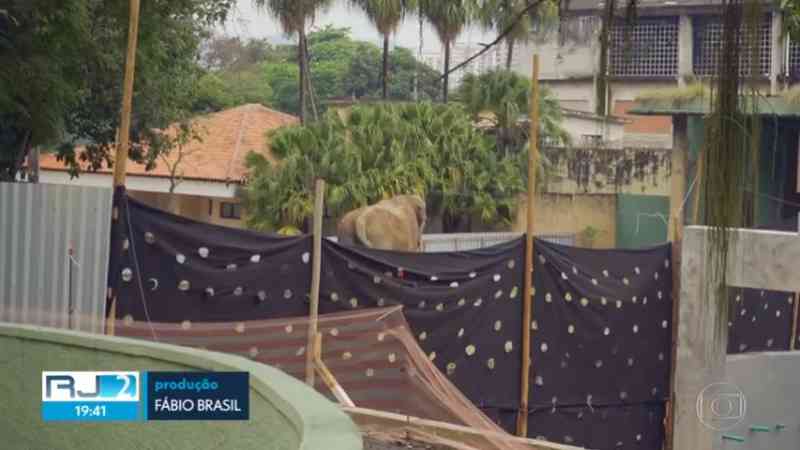 Polícia faz ação no zoológico do Rio após denúncias de maus-tratos de animais