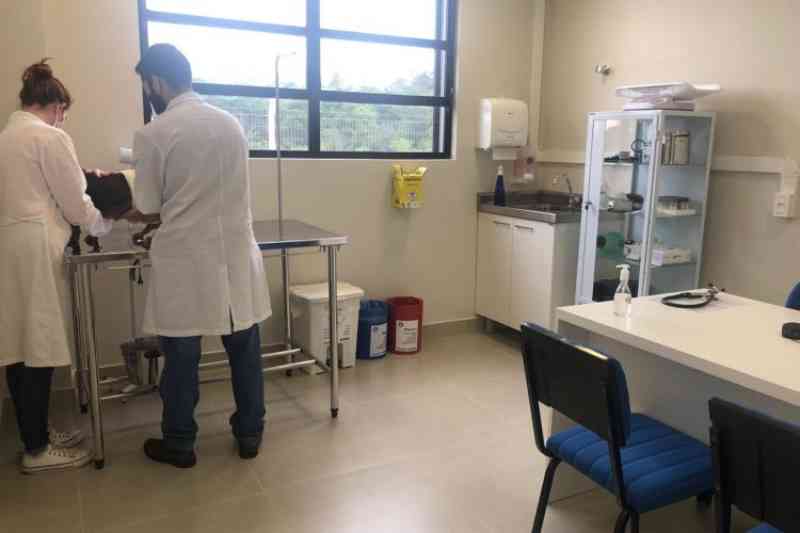 Hospital Veterinário começa atendimento aos animais de famílias de baixa renda, em Santa Cruz do Sul, RS