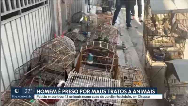 Homem é preso por maus-tratos a animais em Osasco, na Grande SP