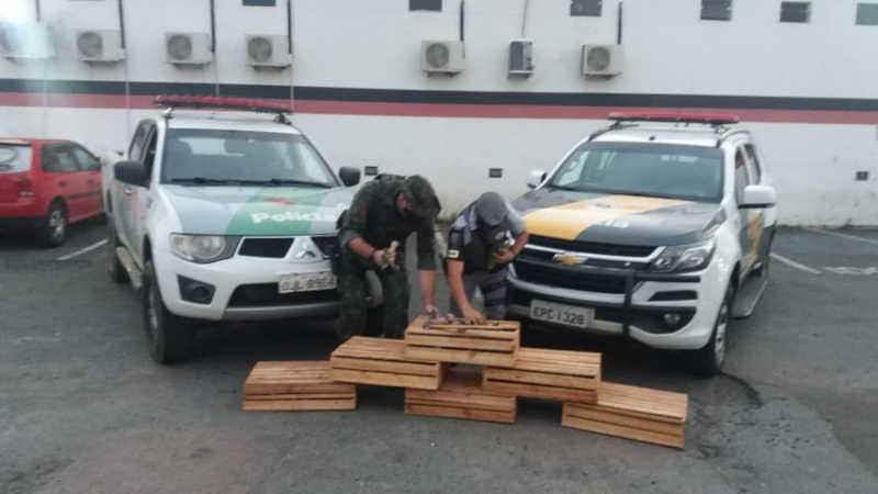 Seis caixas de madeira guardavam 165 papagaios em situação de maus-tratos em Campinas — Foto: Polícia Militar Ambiental