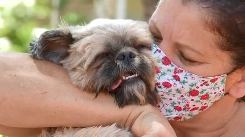 Cãozinho recebendo carinho da tutora em Novo Horizonte — Foto: Reprodução/TV TEM