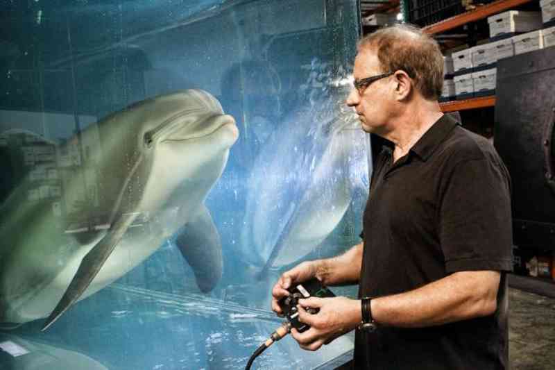 Golfinho-robô pode acabar com cativeiros de animais em parques temáticos