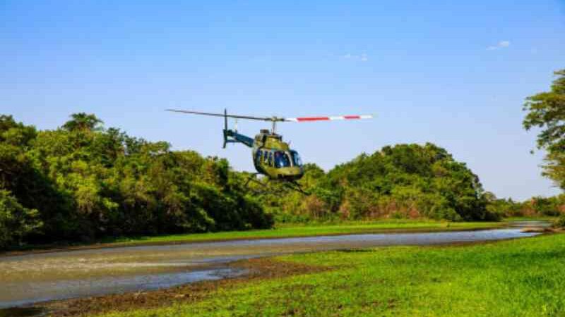 Estrutura de atendimento a animais silvestres será mantida no Pantanal