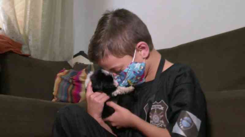Menino abriga cachorros de rua e é homenageado como ‘guardião dos animais’, em Cascavel, PR
