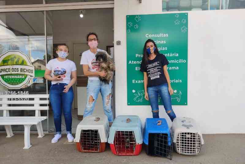 Polícia Civil e APAB recolhem animais em situação ‘degradante’ em Bom Retiro do Sul, RS
