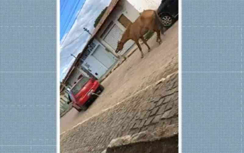 Vídeo: Motorista é flagrado arrastando cavalo amarrado a carro no sudoeste da Bahia