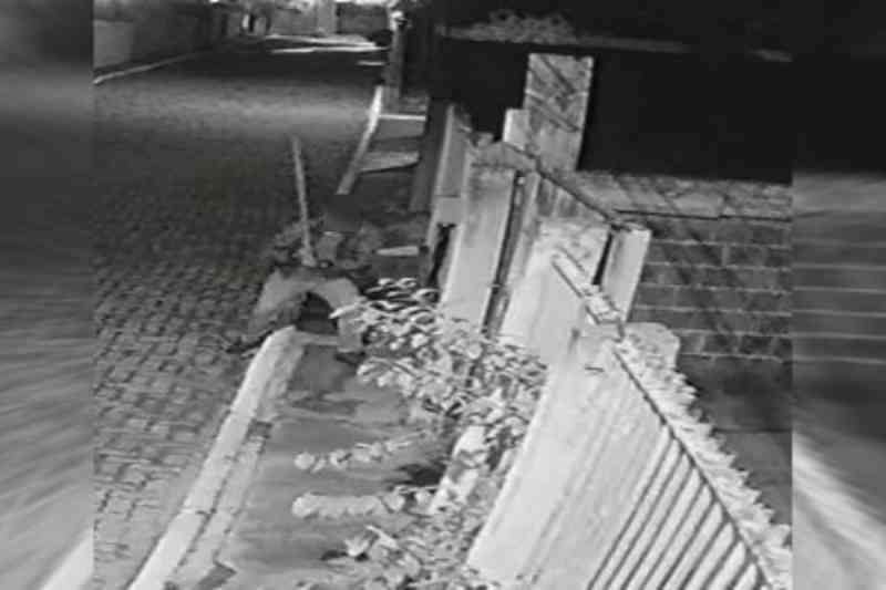 Vídeo: homem mata cachorro com golpes de barra de ferro em condomínio do DF
