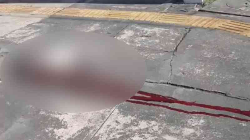Crueldade em plena luz do dia: homem saca arma e mata cachorro em Belém, PA