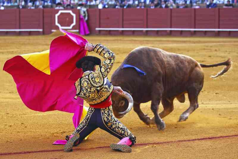 Vitória! A Unesco se recusa a considerar as touradas um patrimônio cultural imaterial da humanidade