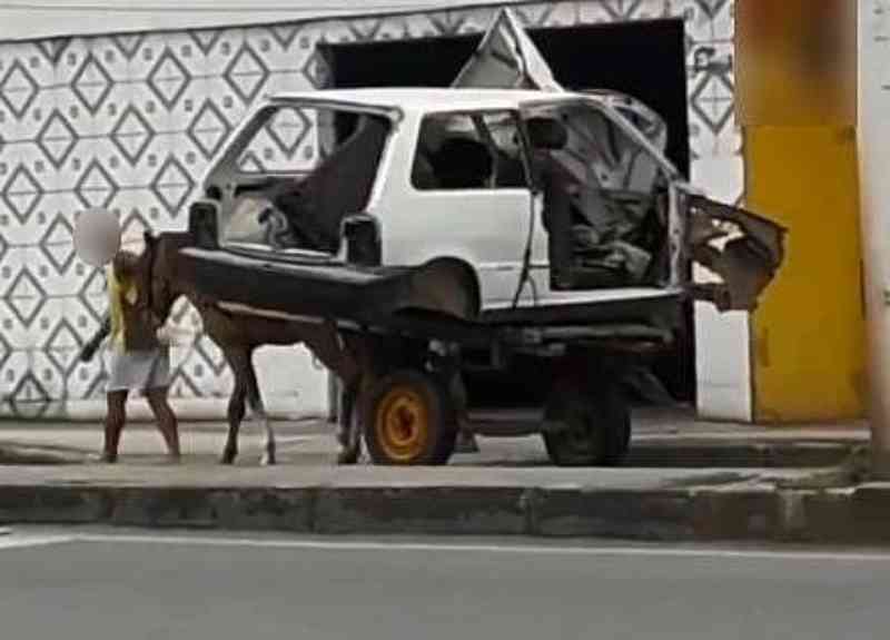 Maus-tratos: vídeo mostra cavalo puxando carroça com carcaça de carro em Maceió, AL