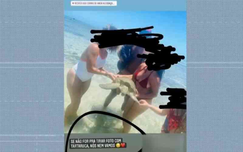 Crime ambiental: turistas capturam tartarugas-marinhas para fazer ‘selfies’ em área de proteção na BA