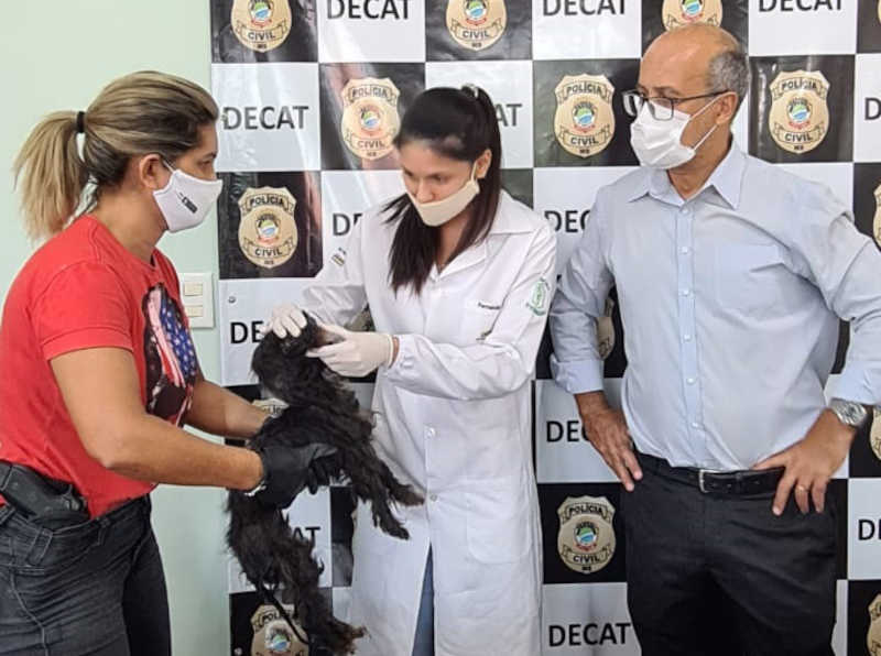 Delegado Maércio Barbosa, titular da Decat vai tomar depoimento da dona do animal (Foto: Decat)