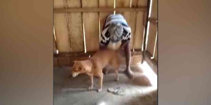 ‘Estuprador de cadela’ é procurado pela Polícia Civil em Marabá, PA