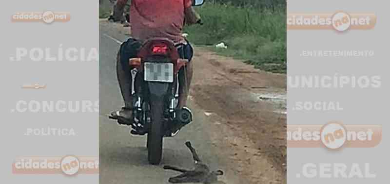 Homem é flagrado arrastando cachorro em moto na cidade de Picos, PI