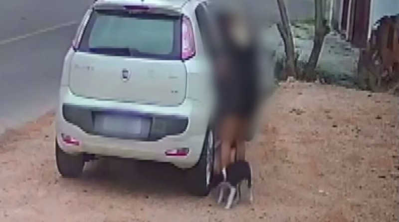 Mulher é presa suspeita de maus-tratos após câmera de segurança flagrar abandono de cachorro no PR